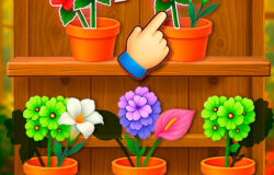Sort Flowers Puzzle Game – Relaxing Color Sorting Challenge
